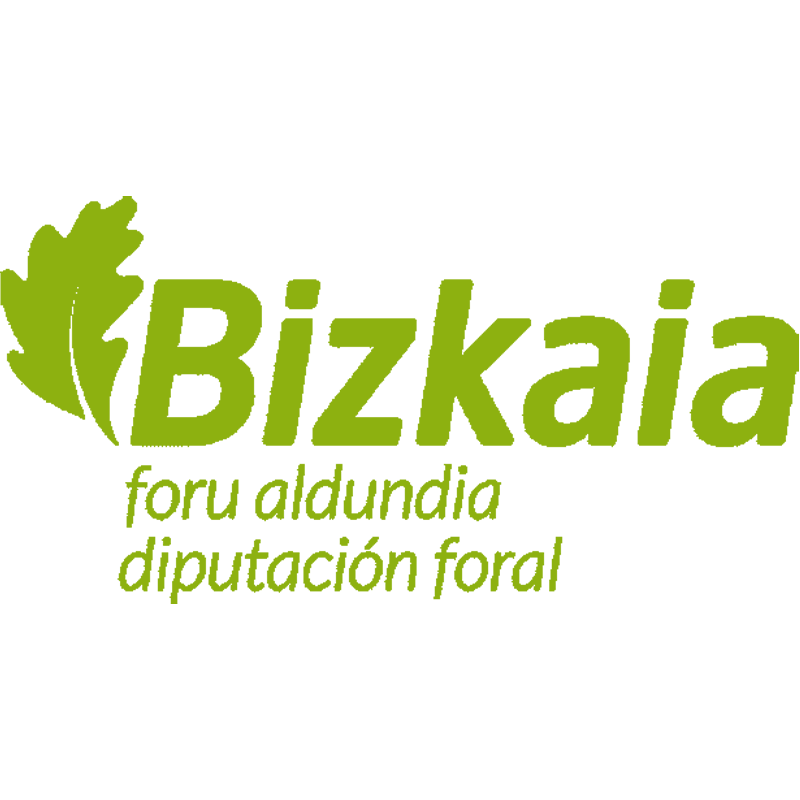 Diputación Bizkaia