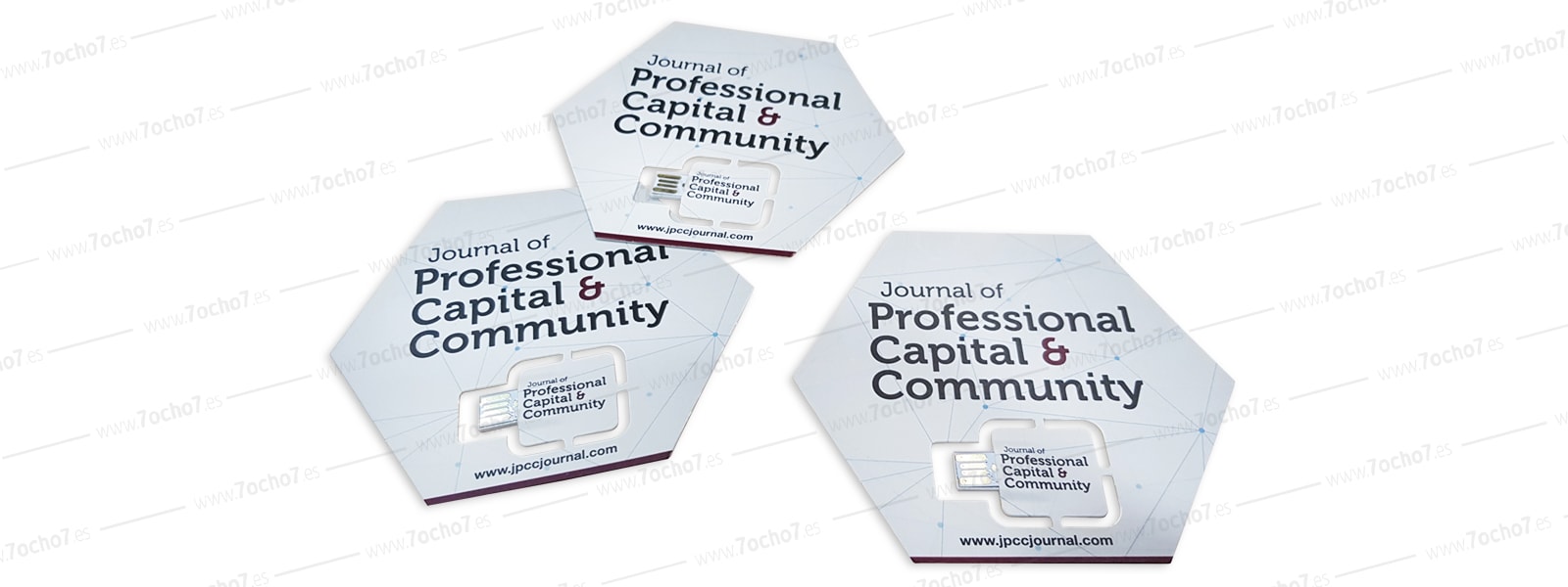 Profesional Capital and Community